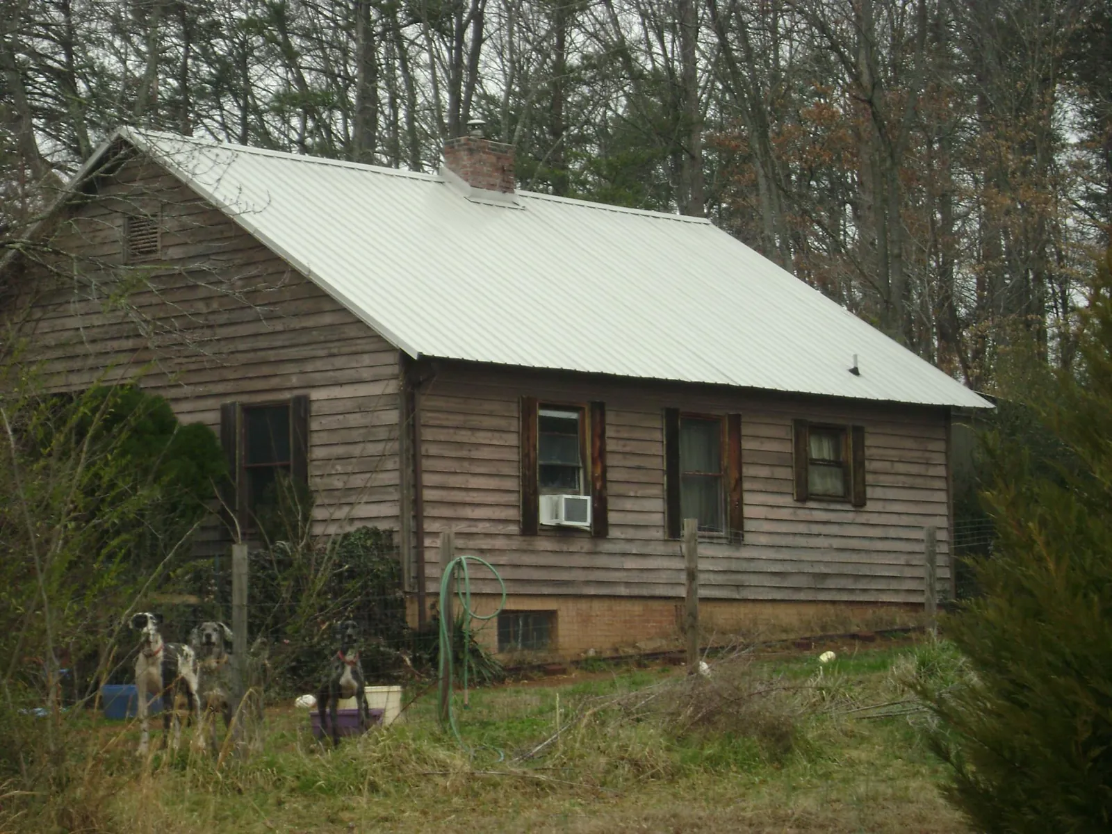 White metal roof on an old wood sided farmhouse, from a Asphalt Shingle Roof Repair job in Gray Summit